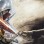 angespielt 029 - Soul Calibur V & Darkness II